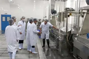 乐鱼体育高科新生产线顺利通过验收