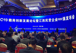 乐鱼体育集团再次入选江西民营企业100强